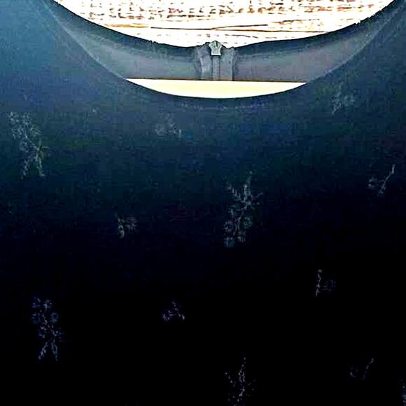 Vtg Molly Malloy 16 Black Crushed Velvet Party Dress Whimsigoth Floral Embossed - Picture 5 of 14